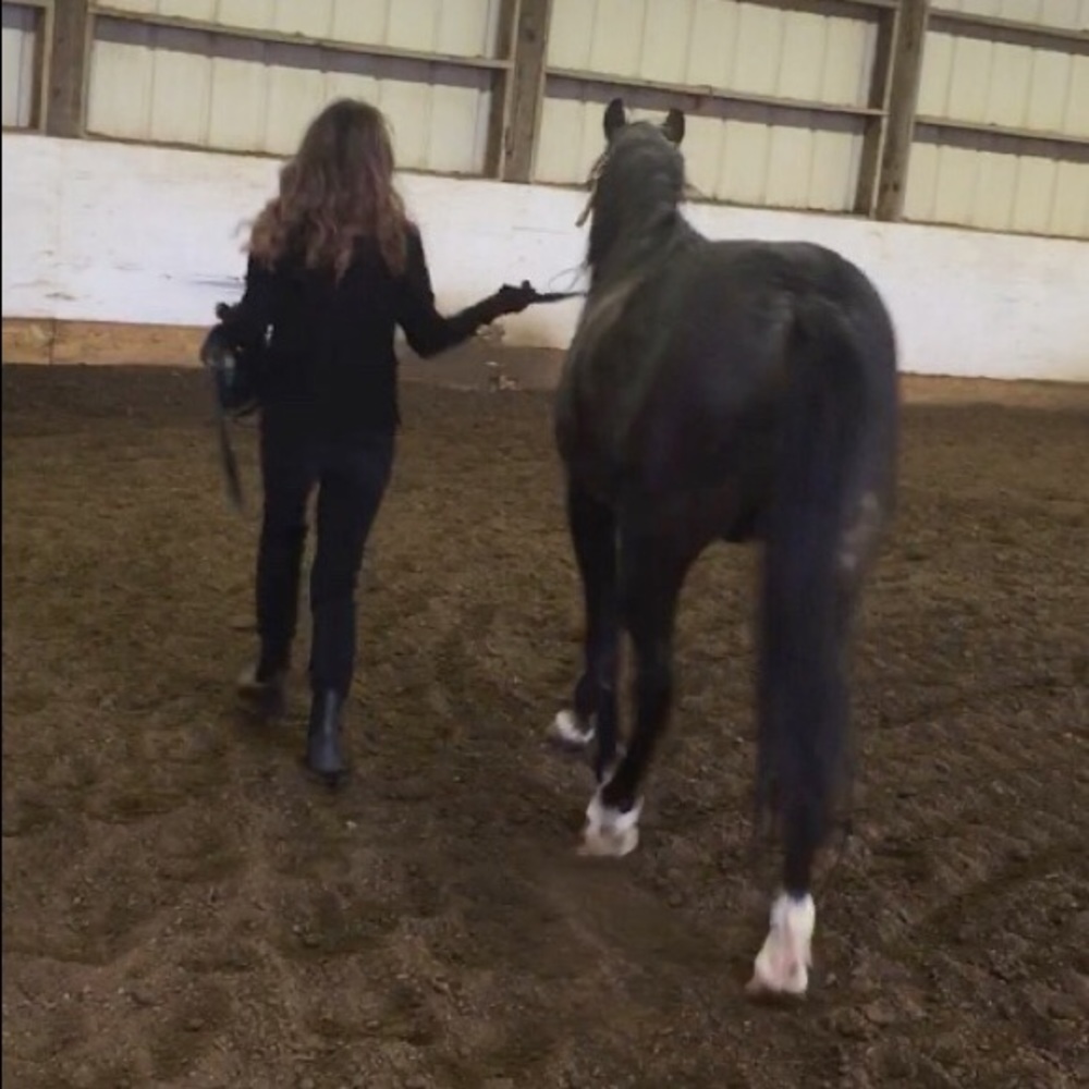 Meet your Posher, Maylyn